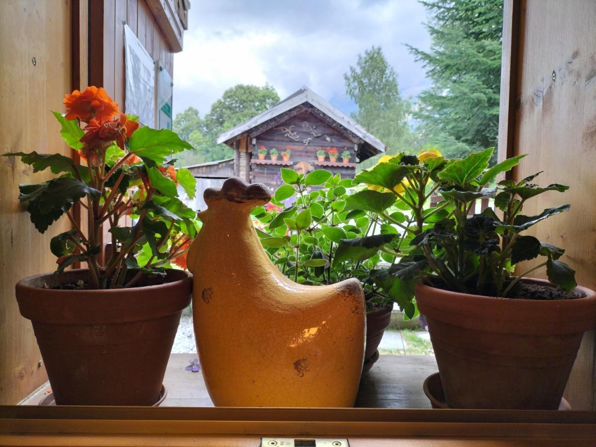 Le Montagny Hotel Les Houches Exterior foto